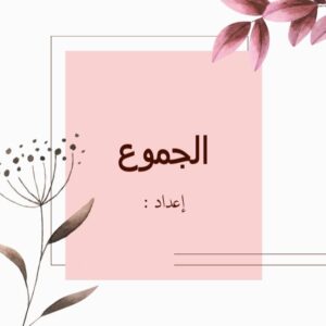 أنواع الجموع